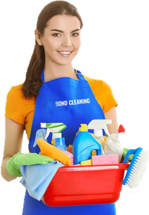 Elegant Curtain Cleaning Services