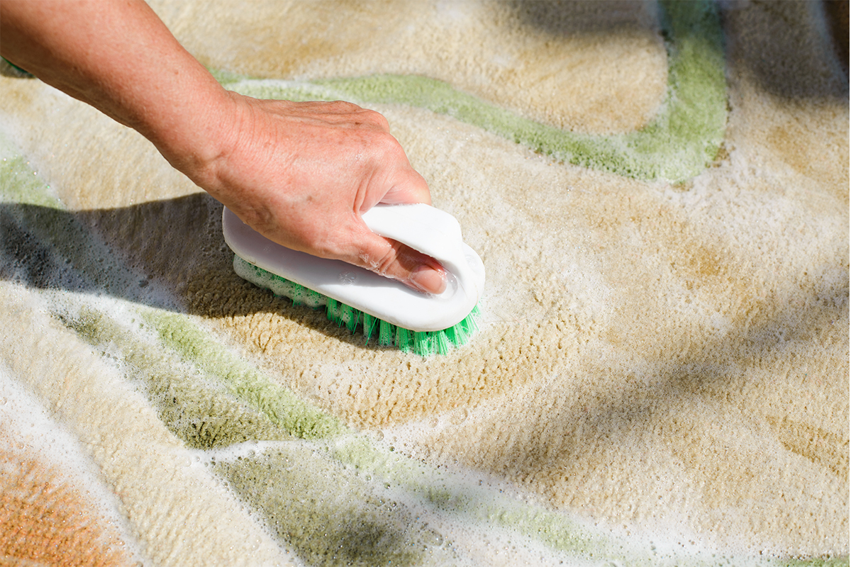 Importance of Carpet Cleaning