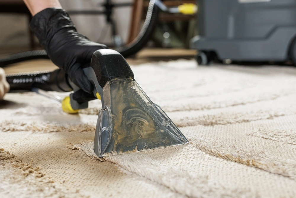 Is Professional Carpet Cleaning Worth It in Dubai?